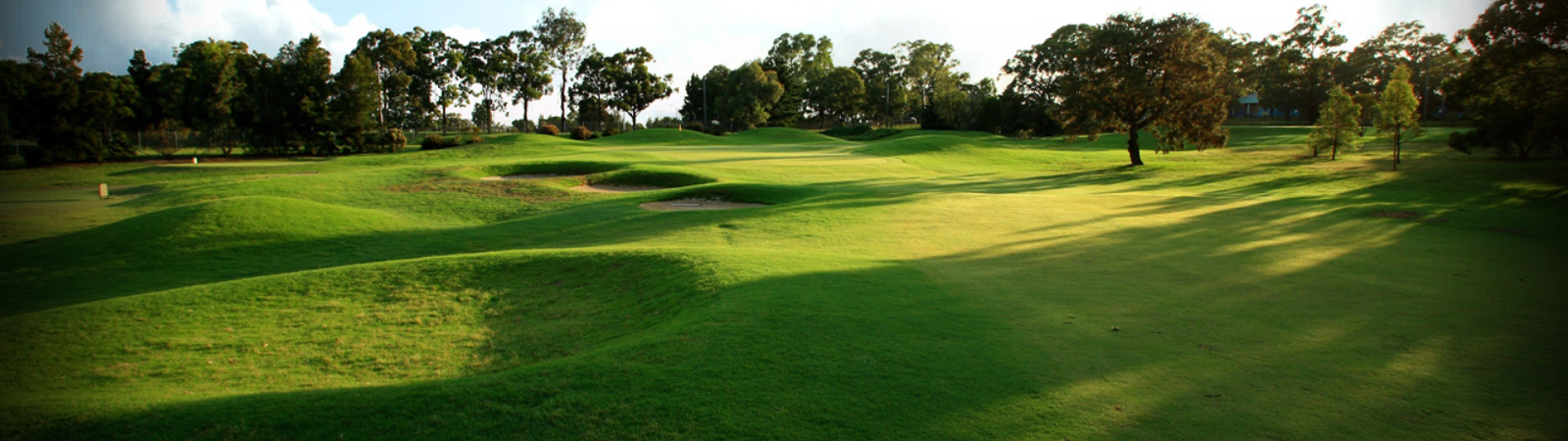 Green-Fees2.jpg